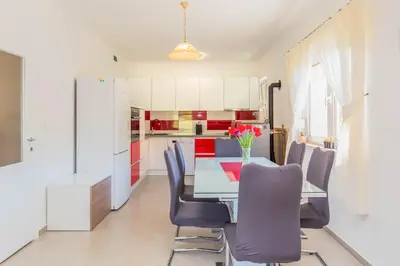 Kuhinja ili čajna kuhinja u objektu Greenway Apartment Radić