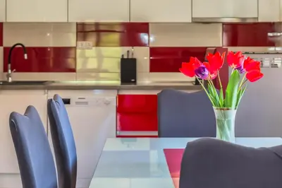 Kuhinja ili čajna kuhinja u objektu Greenway Apartment Radić