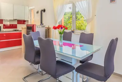 Kuhinja ili čajna kuhinja u objektu Greenway Apartment Radić