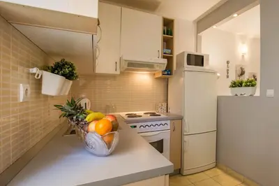 Kuhinja ili čajna kuhinja u objektu Apartment Toni Relax