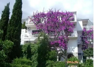 Vrt u objektu Apartments Josip II