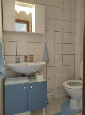 Kupaonica u objektu Kameni zid