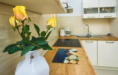 Kuhinja ili čajna kuhinja u objektu Apartman Darija 2