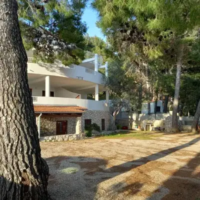 Apartments by the sea Ivan Dolac - Hvar - 21269