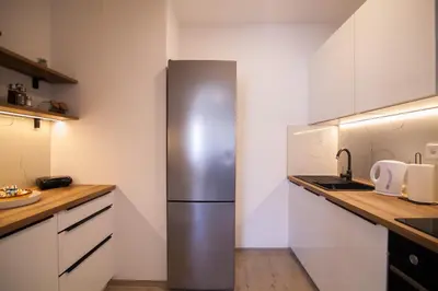 Kuhinja ili čajna kuhinja u objektu Family Apartments Brach - Free Parking