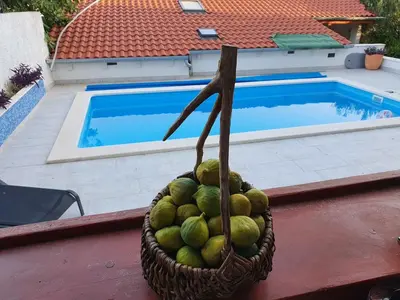Bazen u objektu Apartment Kova ili u blizini