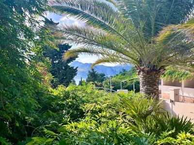 Vrt u objektu Villa Romana III Omis