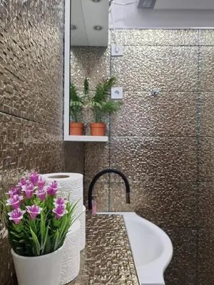 Kupaonica u objektu Old Town Apartment