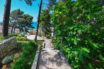 Priroda u blizini apartmana