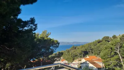 Priroda u blizini vila