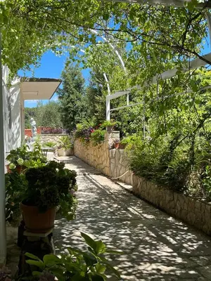 Vrt u objektu Room Gorana with swimming pool