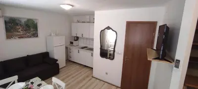 Kuhinja ili čajna kuhinja u objektu Apartman Branka