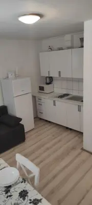 Kuhinja ili čajna kuhinja u objektu Apartman Branka