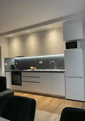 Kuhinja ili čajna kuhinja u objektu Penny Epetium