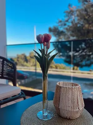 Priroda u blizini apartmana