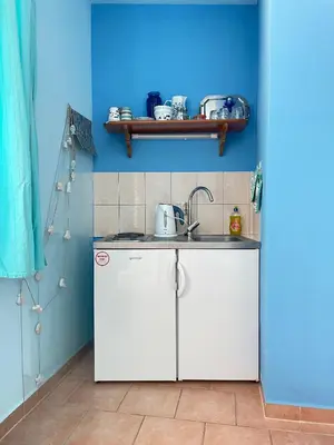 Kuhinja ili čajna kuhinja u objektu Apartments Panda