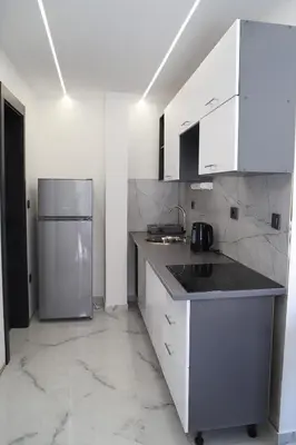 Kuhinja ili čajna kuhinja u objektu Elite estate