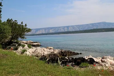 Priroda u blizini vikendica