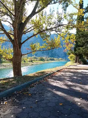 Priroda u blizini apartmana