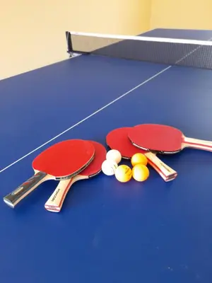 Stolni tenis u objektu Holiday House Kostanje ili u blizini