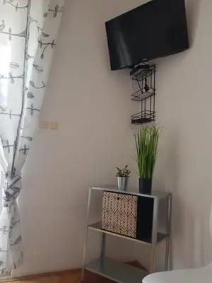 TV i/ili zabavni centar u objektu Apartments Joko