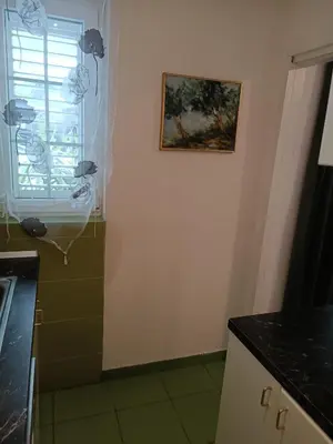 Kuhinja ili čajna kuhinja u objektu Zelena oaza