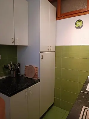 Kuhinja ili čajna kuhinja u objektu Zelena oaza