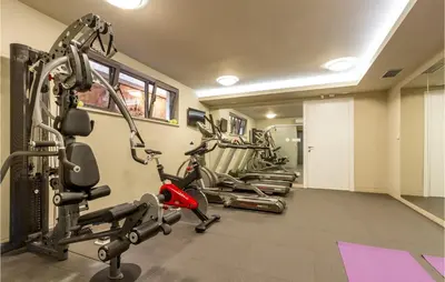 Fitness centar i/ili fitness sadržaji u objektu Opg Dide Frane
