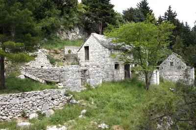 Priroda u blizini apartmana
