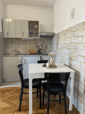 Kuhinja ili čajna kuhinja u objektu Apartments Skako