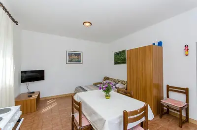 TV i/ili zabavni centar u objektu Apartments Goran