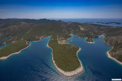 Priroda u blizini vila