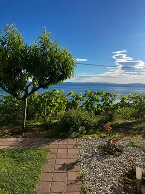 Priroda u blizini apartmana