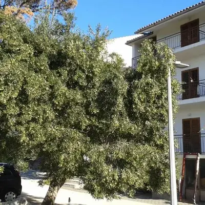 Apartments with parking space Brela