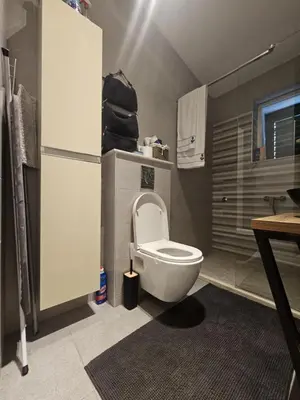 Kupaonica u objektu Apartment Villa Mirna
