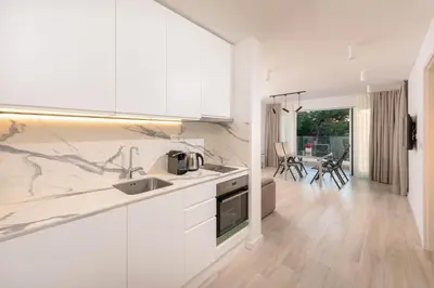 Kuhinja ili čajna kuhinja u objektu Luxury Apartments Promajna