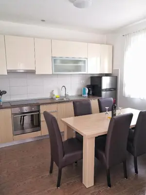 Kuhinja ili čajna kuhinja u objektu Apartments Nostro