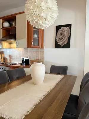 Kuhinja ili čajna kuhinja u objektu Apartman Tino with two sunny terace