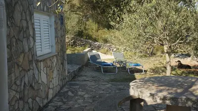 Priroda u blizini apartmana