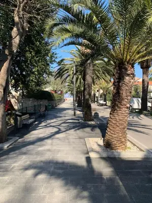 Okolica apartmana ili susjedstvo u blizini