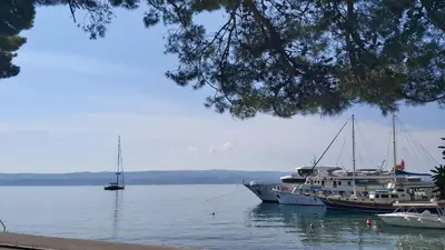Priroda u blizini apartmana