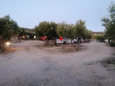 Priroda u blizini kampova