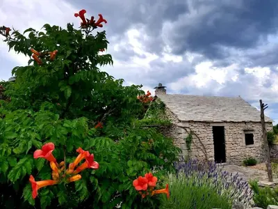 Vrt u objektu Country House Hacienda