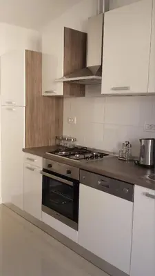 Kuhinja ili čajna kuhinja u objektu Apartment Sandrica
