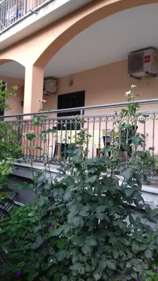 Balkon ili terasa u objektu Apartments Anita Hure