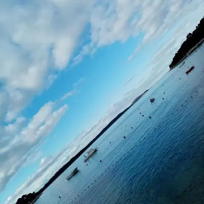 Priroda u blizini apartmana