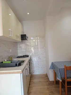 Kuhinja ili čajna kuhinja u objektu Apartments Anita Hure