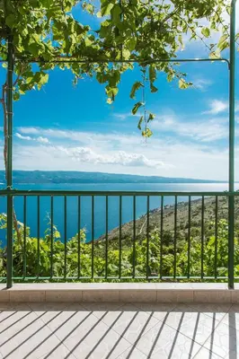 Priroda u blizini apartmana