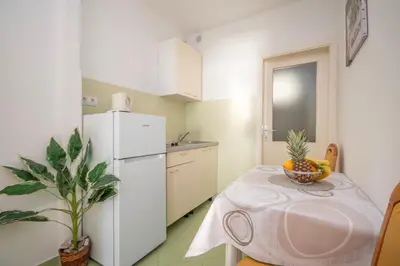 Kuhinja ili čajna kuhinja u objektu Apartment Ivana