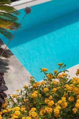 Bazen u objektu Luxury Villa Hvar Carpe Diem newly renovated with private pool by the sea ili u blizini